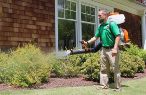 Mosquito Joe of Mid-Coast NJ technician spraying bushes out of a home. 
