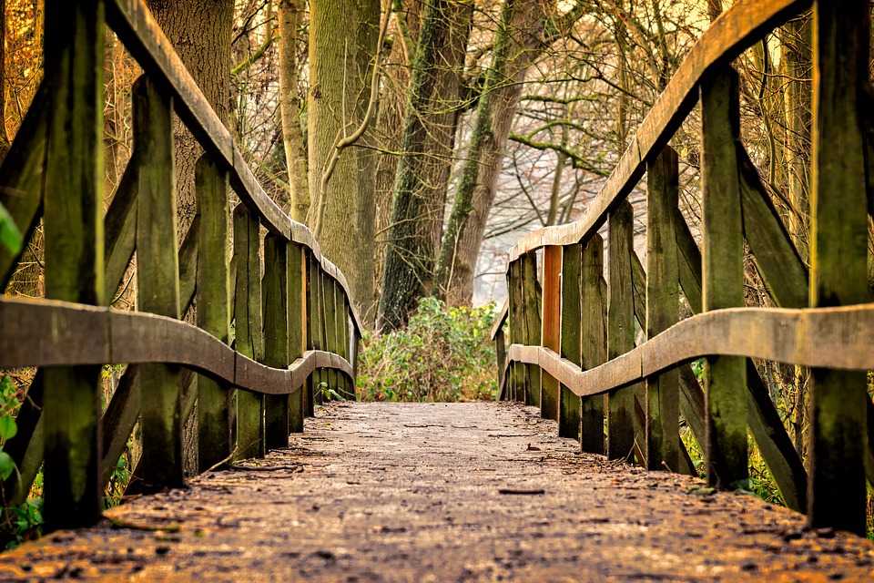 A wooden bridge covered with autumn leaves. 