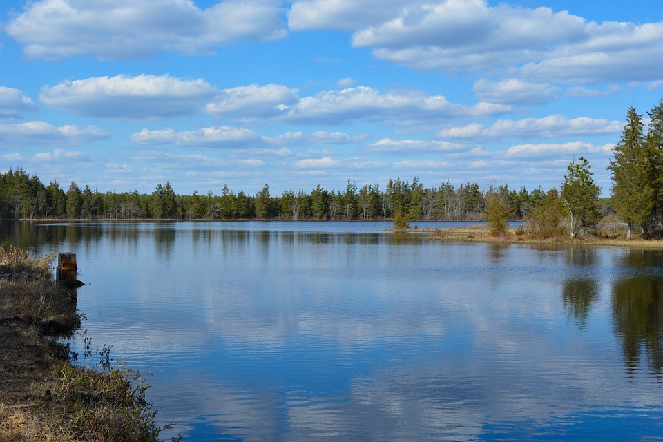 A glassy lake with trees surrounding the perimeter. 